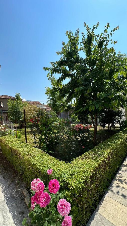 Js House Shkoder 2公寓 外观 照片